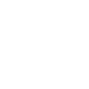 virtual regatta.png